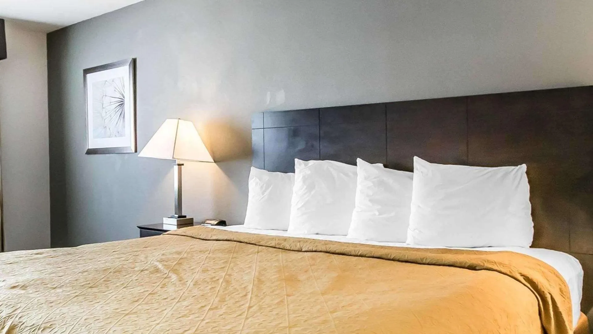 Quality Inn & Suites University-Airport Louisville