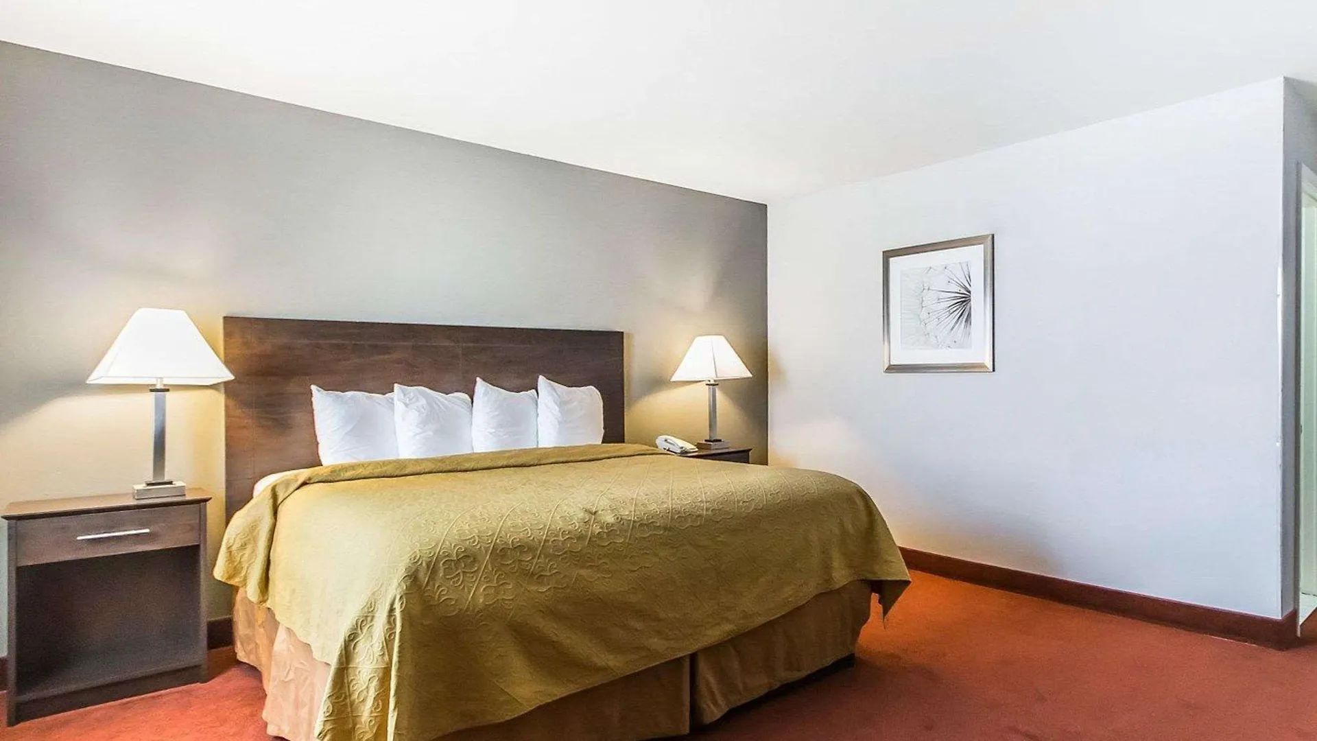 Quality Inn & Suites University-Airport Louisville