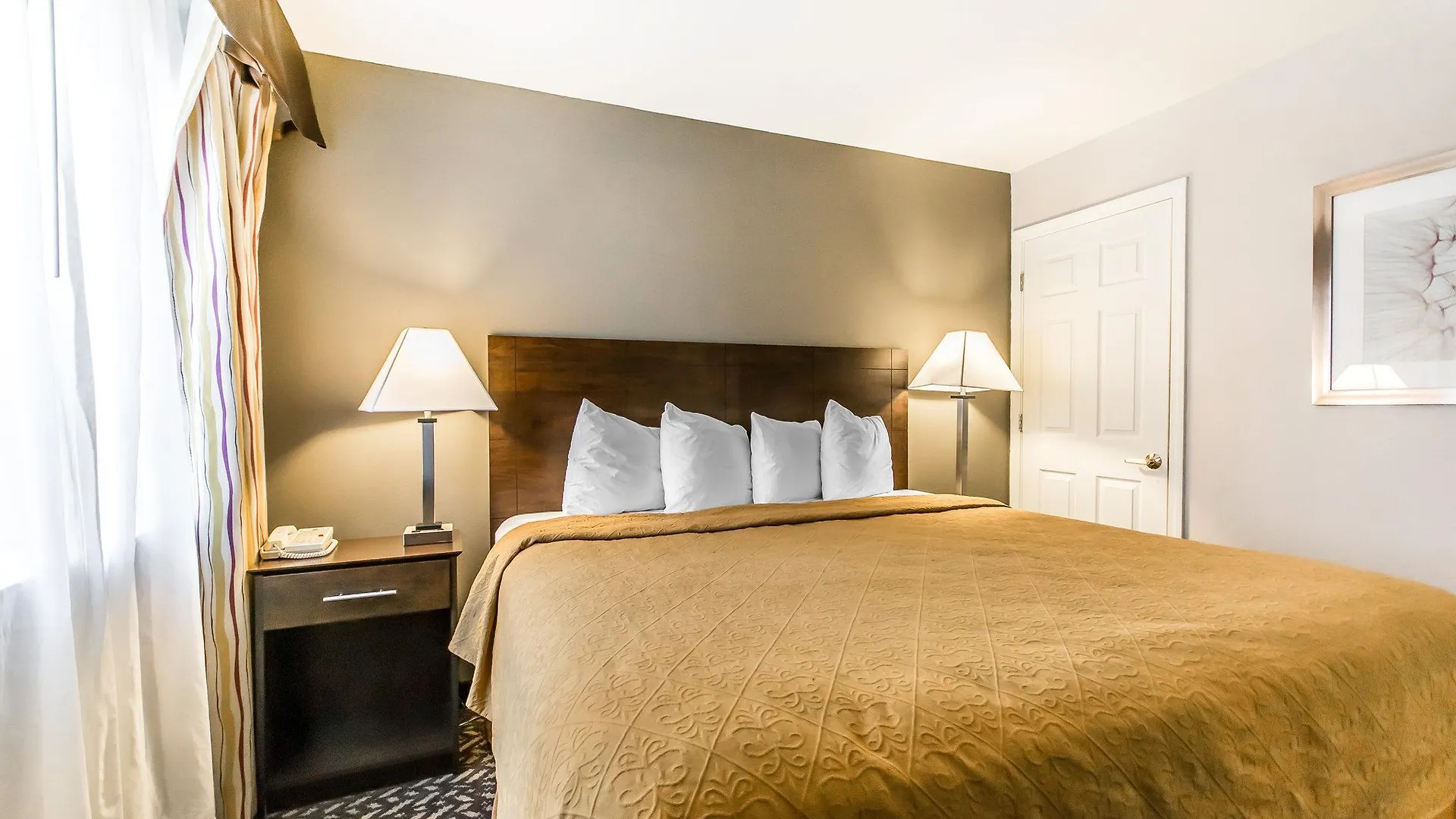 Quality Inn & Suites University-Airport Louisville