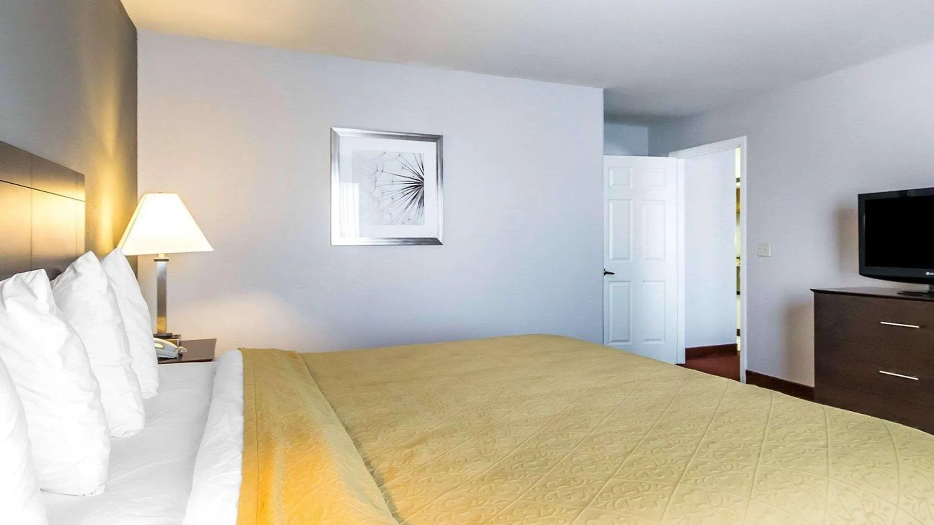 Quality Inn & Suites University-Airport Louisville