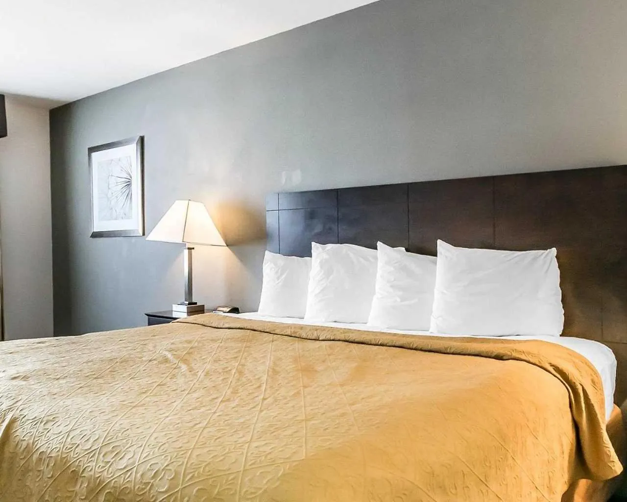 Hotel Quality Inn & Suites University-Airport Louisville